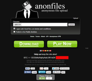 anonfiles來自瑞典的匿名網盤